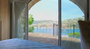 Villa Villefranche sea view